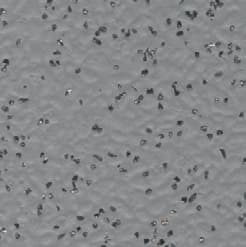 R-AS-VINYL-CPP2-9