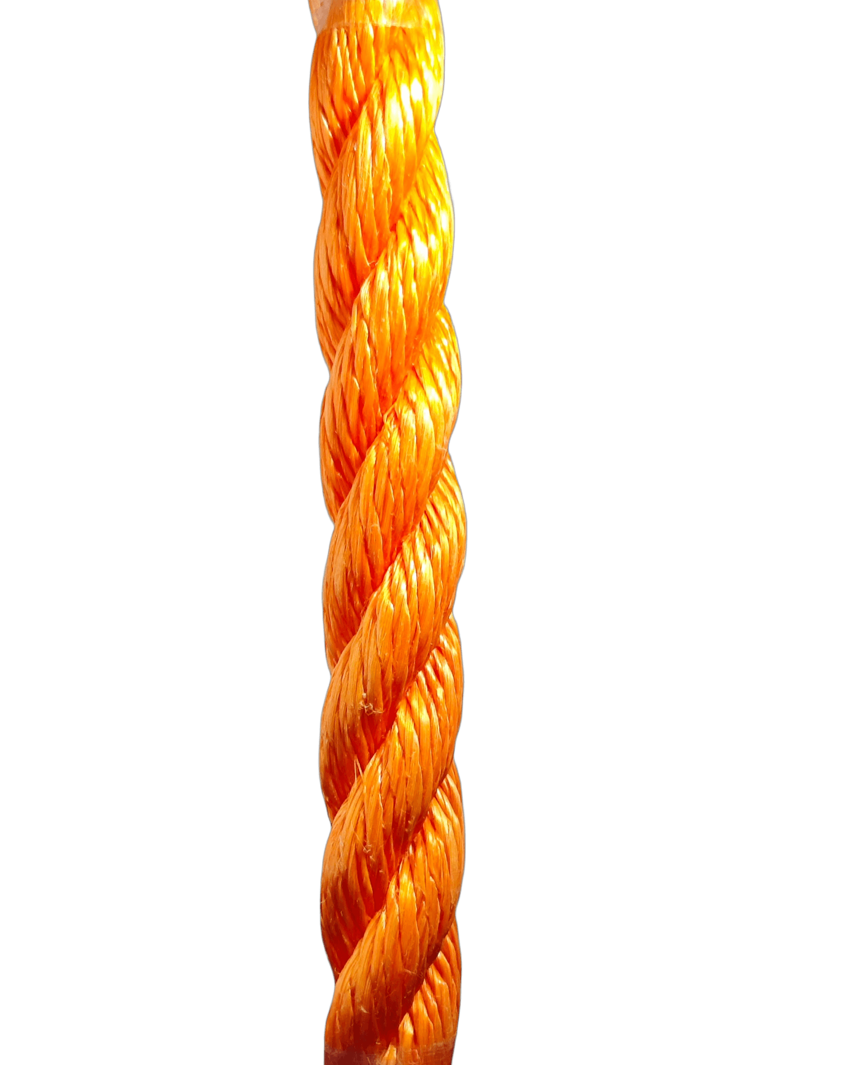 4 PP ROPE